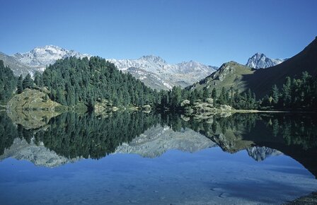 Cicerone - Walking in the Engadine