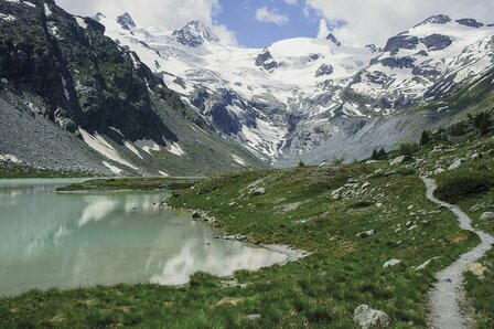 Cicerone - Walking in the Engadine