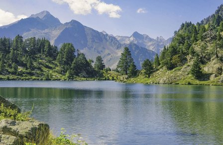 Cicerone - Walks and climbs in the Pyrenees.