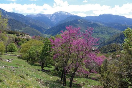 Cicerone - Trekking in Greece