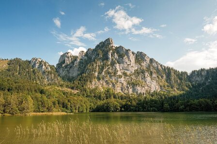 Cicerone - Walking in the Salzkammergut