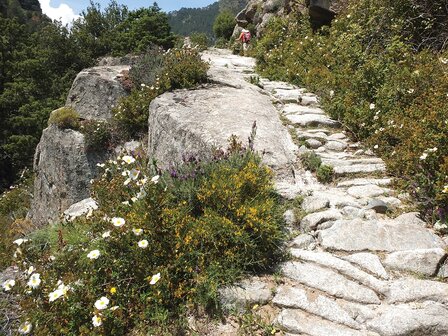 Cicerone - Walking on Corsica