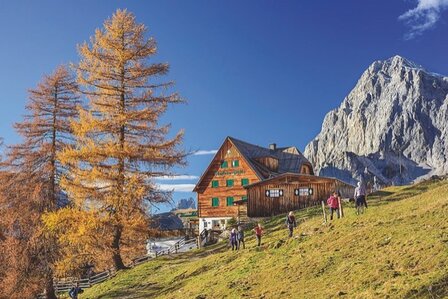 Bruckmann - Hochgef&uuml;hl H&ouml;henweg