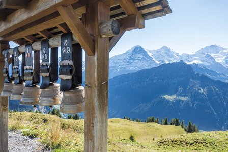 Cicerone - Walking in the Bernese Oberland - Jungfrau region