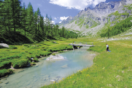 Cicerone - Italy&#039;s Grande Traversata delle Alpi