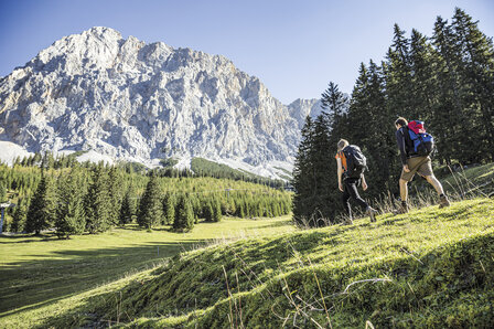 Cicerone - Austria&#039;s Adlerweg wandelgids