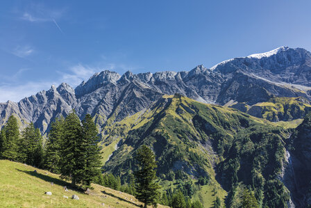 Cicerone - Trekking the Swiss Via Alpina