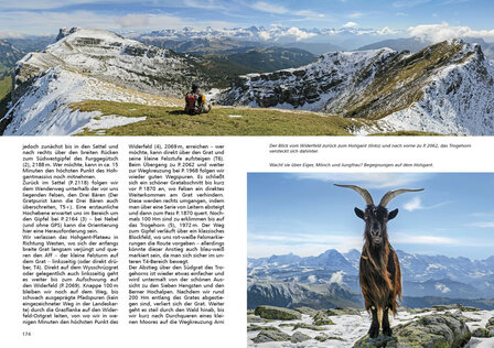 Rother - Gratwandern Schweiz