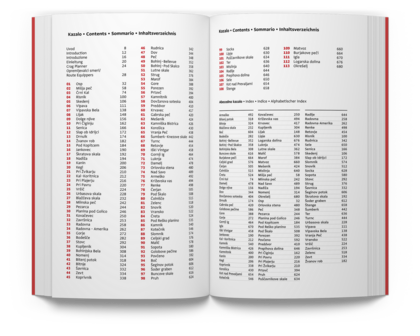 Sidarta - Slovenia Climbing Guide