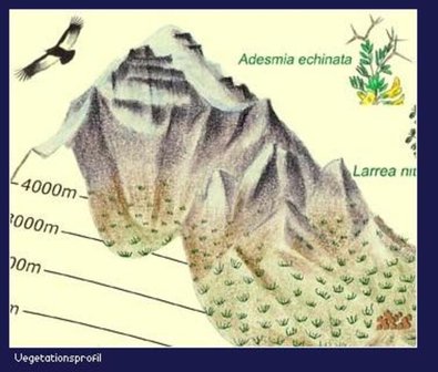 Climbing Map - Cerro Aconcagua