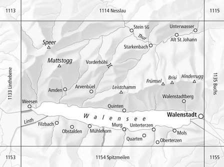 Swisstopo - 1134 Walensee