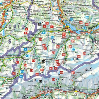 Rother - Berner Oberland West wandelgids   5e druk
