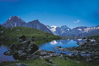 Cicerone - The Swiss Alps