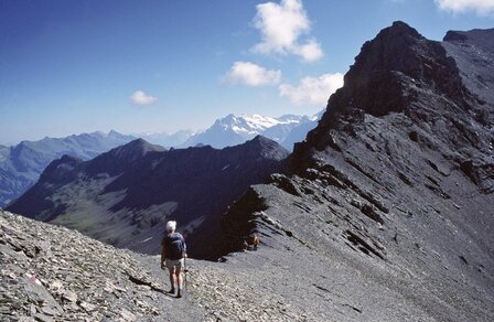 Cicerone - Tour of the Jungfrau Region