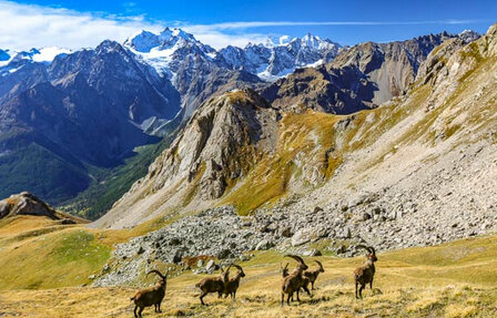 Knife Edge - Tour of the Ecrins National Park