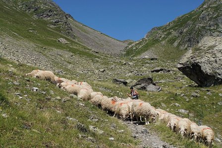 Cicerone - Pyrenean Haute Route