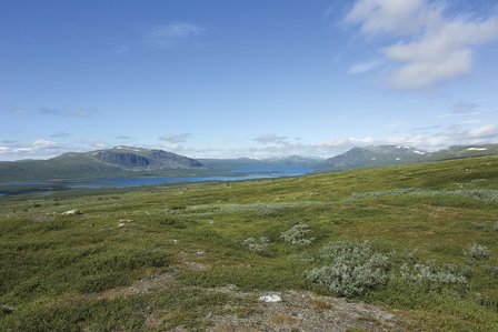 Cicerone - Trekking the Kungsleden