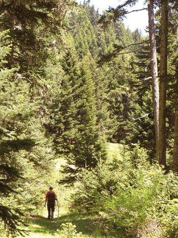 Cicerone - Trekking in Greece