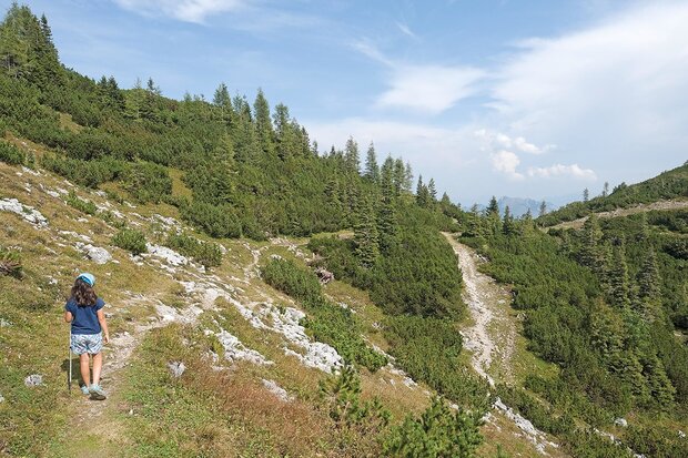 Cicerone - Walking in the Salzkammergut