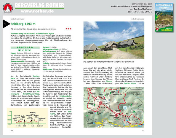 Rother - Schwarzwald - Vogesen wandelboek