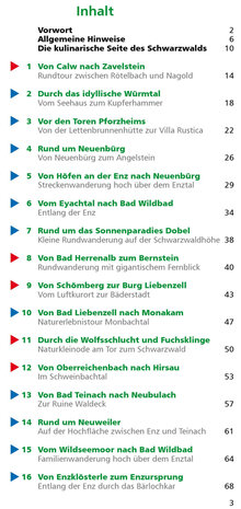 Rother - Schwarzwald - Wandern & Einkehren wandelboek