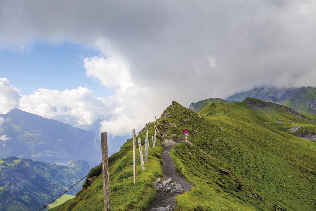 Cicerone - Trekking the Swiss Via Alpina