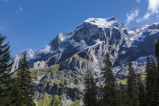 Cicerone - Trekking the Swiss Via Alpina