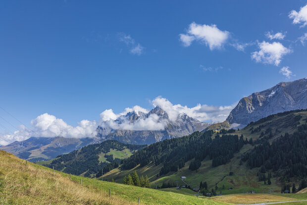 Cicerone - Trekking the Swiss Via Alpina