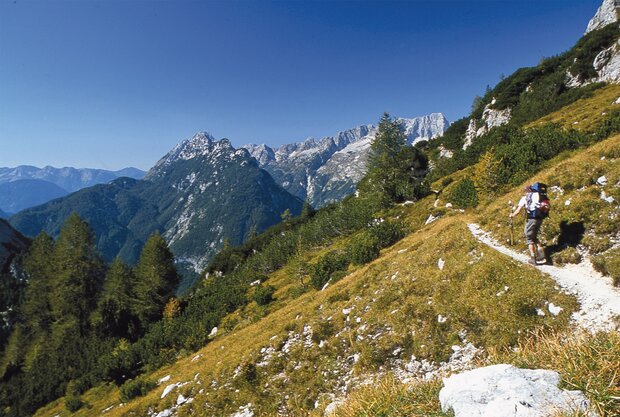 Cicerone - The Slovene Mountain Trail