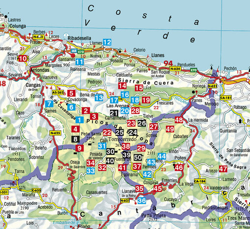 Rother - Picos de Europa wandelgids