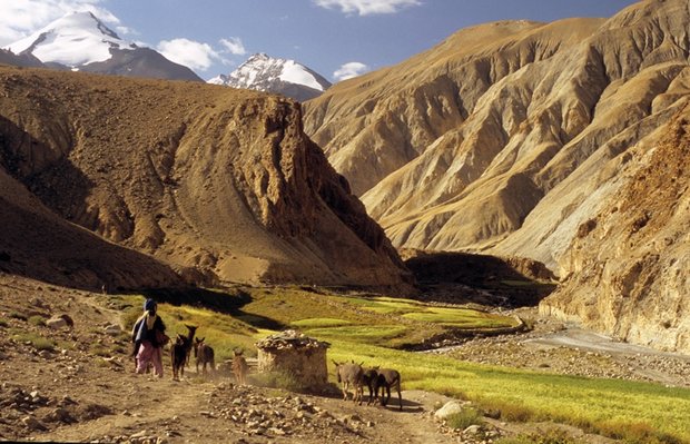 Cicerone - Trekking in Ladakh