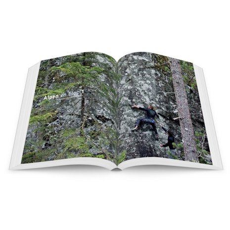 Panico - Alpen en bloc - Band 1