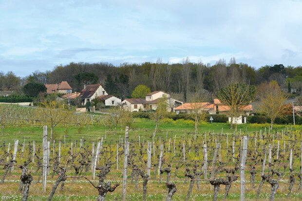 Cicerone - Walking in the Dordogne