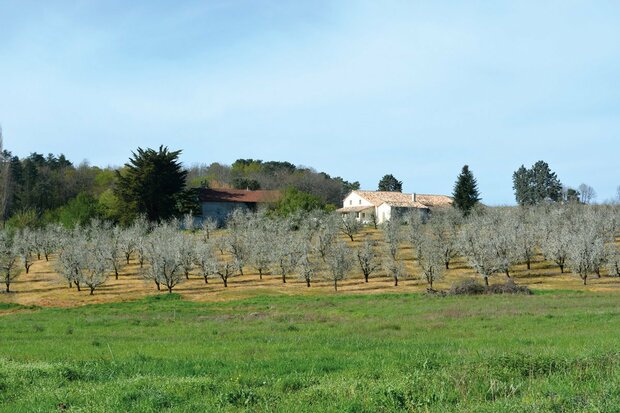 Cicerone - Walking in the Dordogne